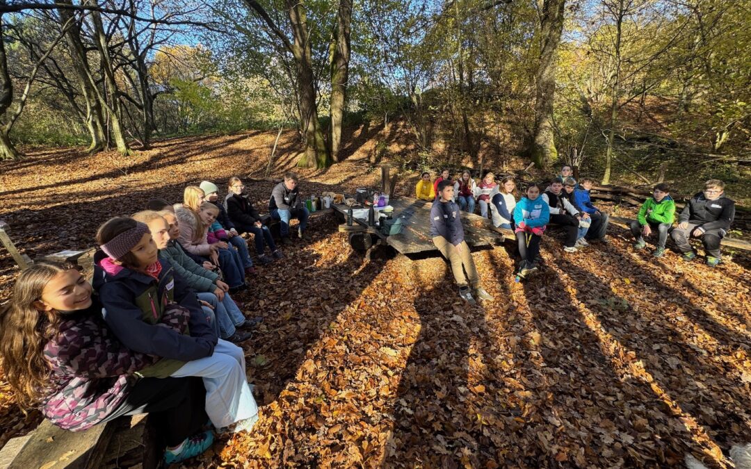Der Wald darf noch nicht ruhen