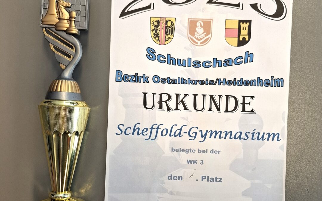 2. Platz beim Schulschach-Turnier 2026