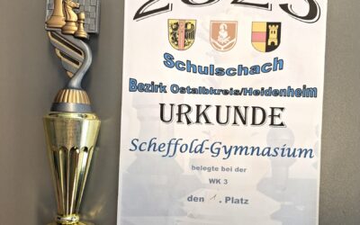 2. Platz beim Schulschach-Turnier 2026