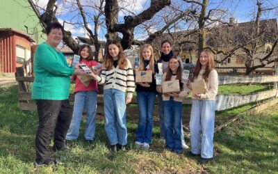 Taschenrechner für Togo